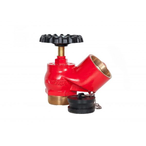 LANDING VALVE - Image 2